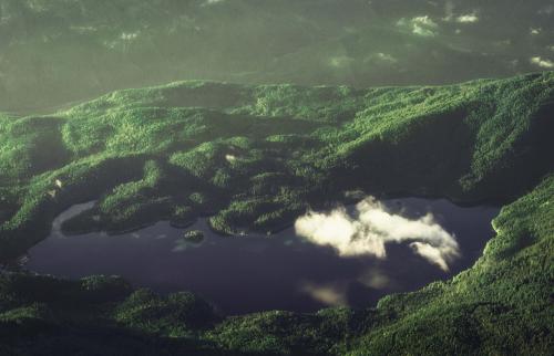 Blick auf einen See im Wald von oben.